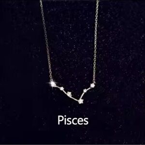 Simple 925 Sterling Silver Zircon Constellation Necklace -Pisces